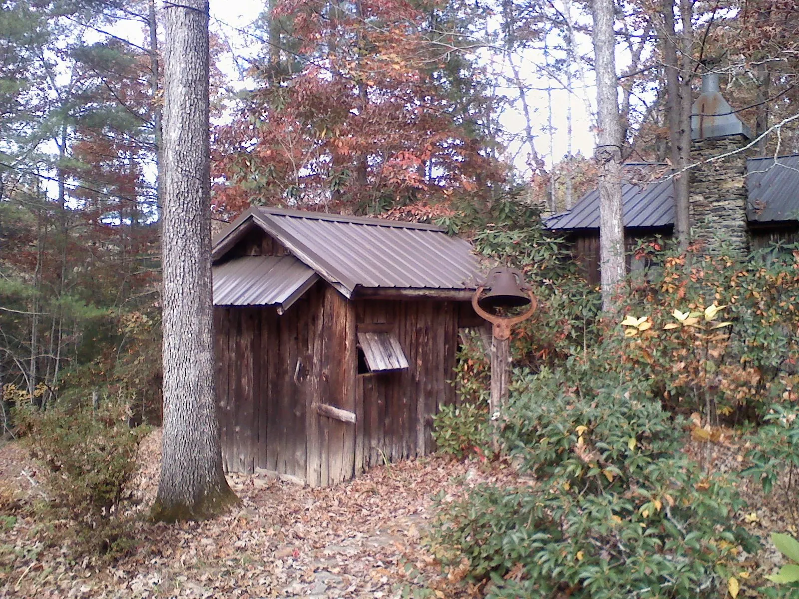 Small metal roof on a rough sawn shed in the woods in Fairbury